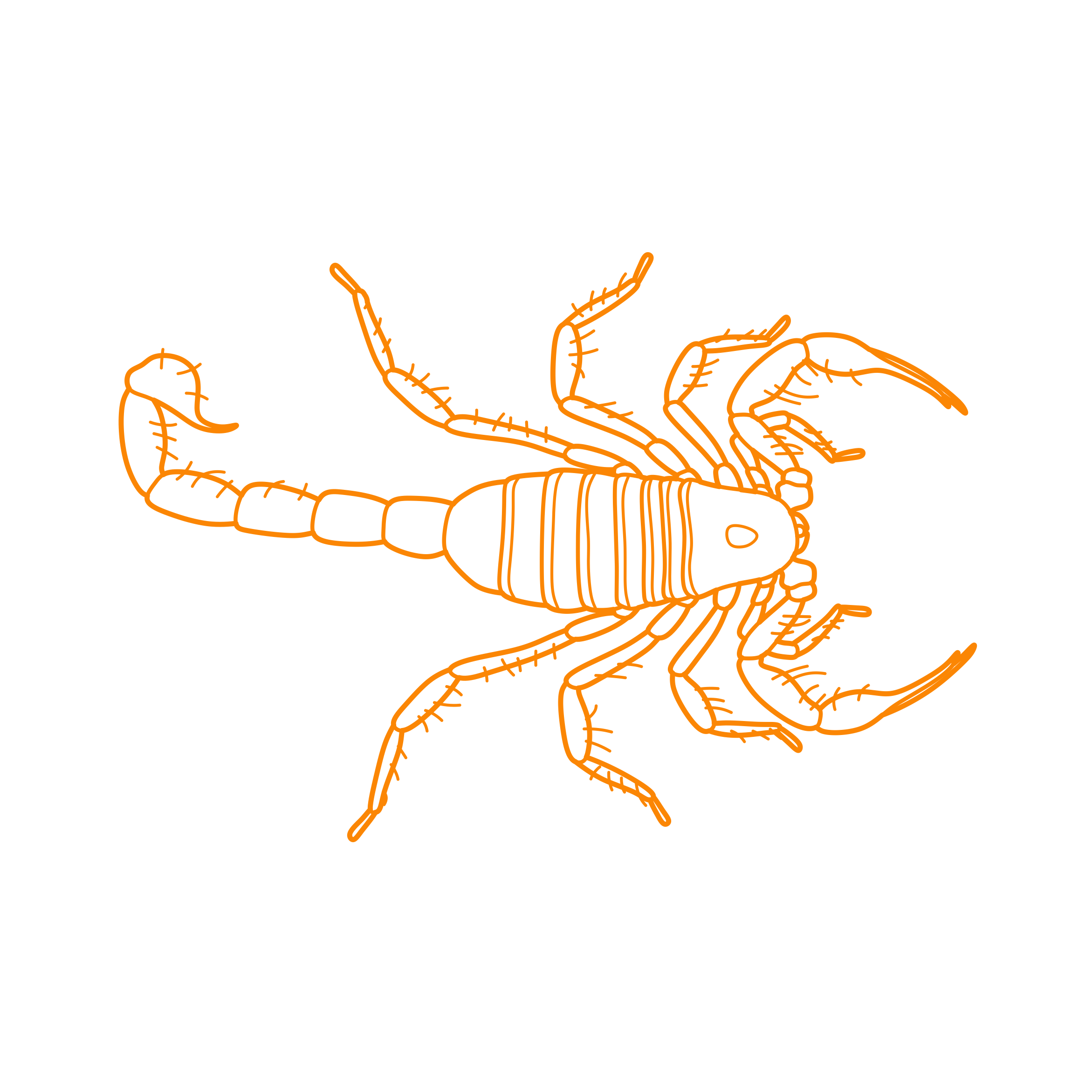 Animals Arachnids Giant Hairy Scorpion Stencil Svg Design File Free Vectors